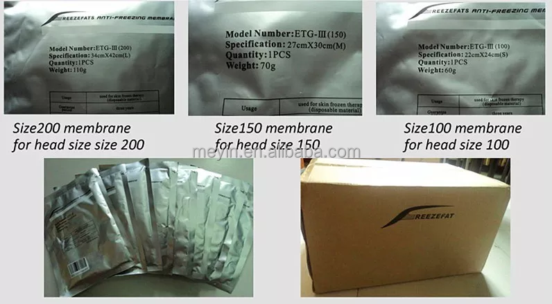 antifreeze membranes criolipolisis cryolipolysis antifreeze membrane