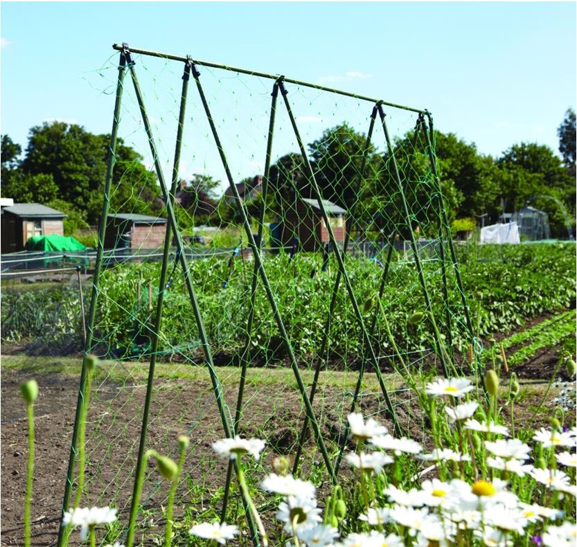 Adjustable Plastic-Coated Metal Garden Vegetable Trellis Tomato Stakes Cages for Climbing Plants Supports Kit with Anti-Bird Net