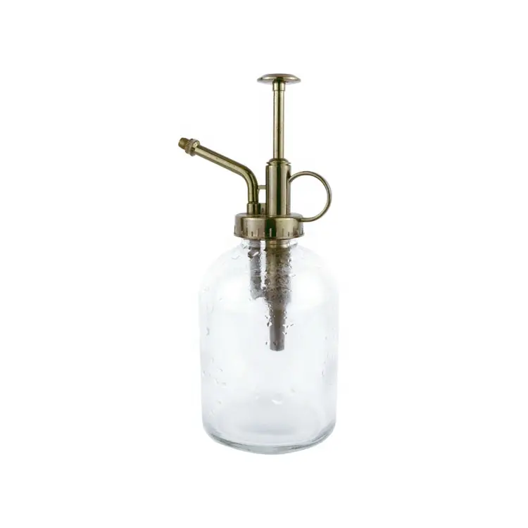 Factory Hot Sale 250Ml Glass Small Manual Garden Sprayer Pump Pressure Bottle With Plastic Spray Pump Watering Can