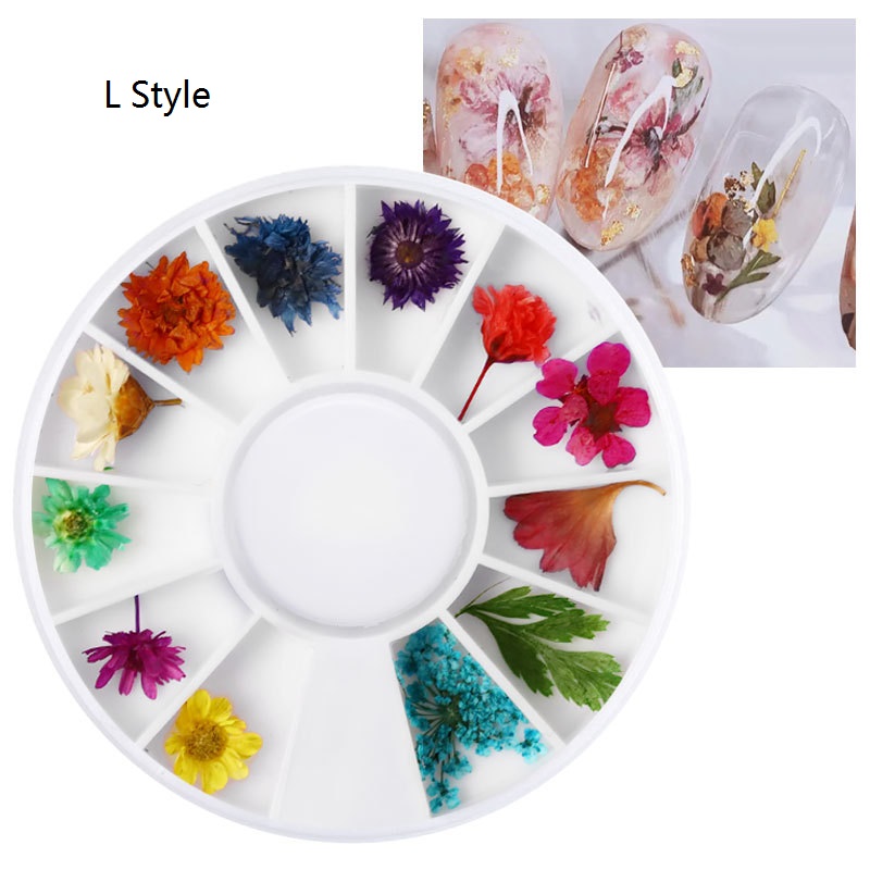 NA054 12 Colors Dried Flowers Nail Art Decorations 3d Natural Daisy Gypsophila Preserved DIY nail Stickers Manicure Decal