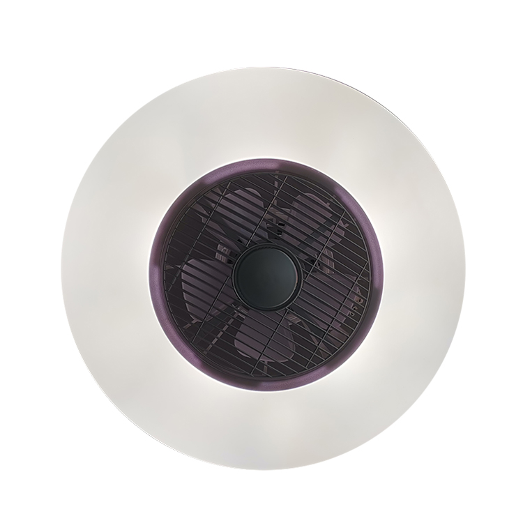 CTORCH GALAXY SAFE CCT COLOR CHANGING 3000K 6500K LED IP21 CEILING FAN LIGHT LAMP