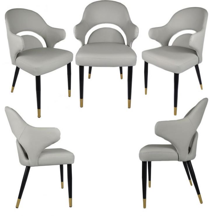 Professional Modern Dining Chairs