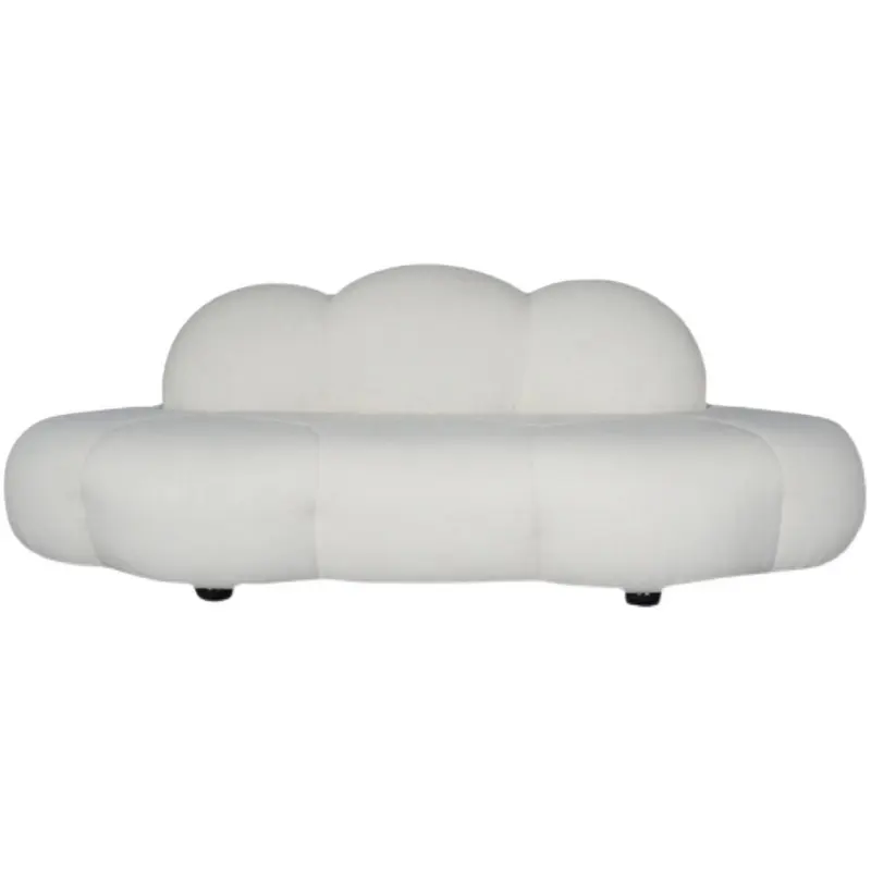 Cloud sofa personalized fashion curved hotel beauty salon homestay special-shaped furniture
