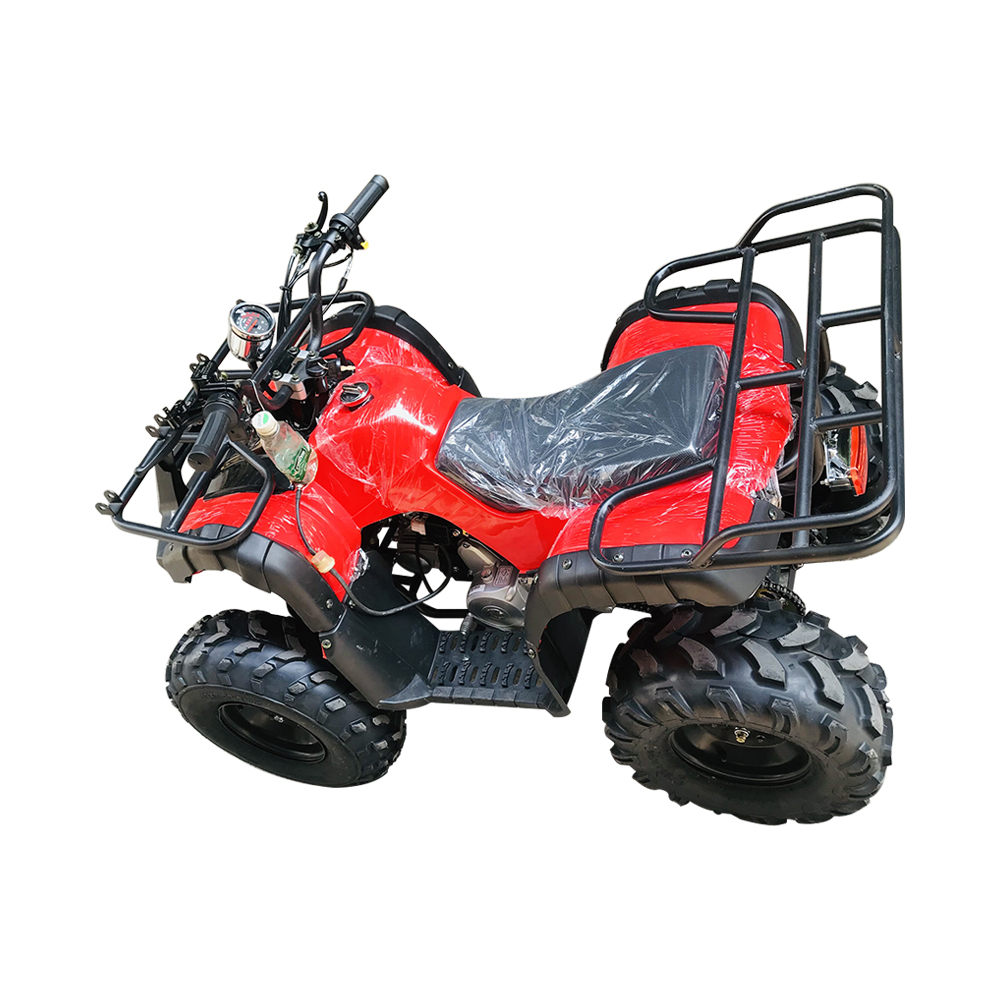 4-колесные пляжные мотоциклы 110/125/250/200 CC 4x2 ATV мотоцикл