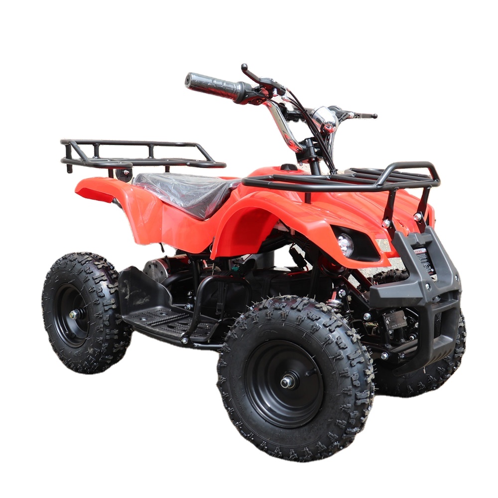 4-колесный Электрический квадроцикл PHYES 36 В Quad 1000 Вт 800 Вт 500 Вт