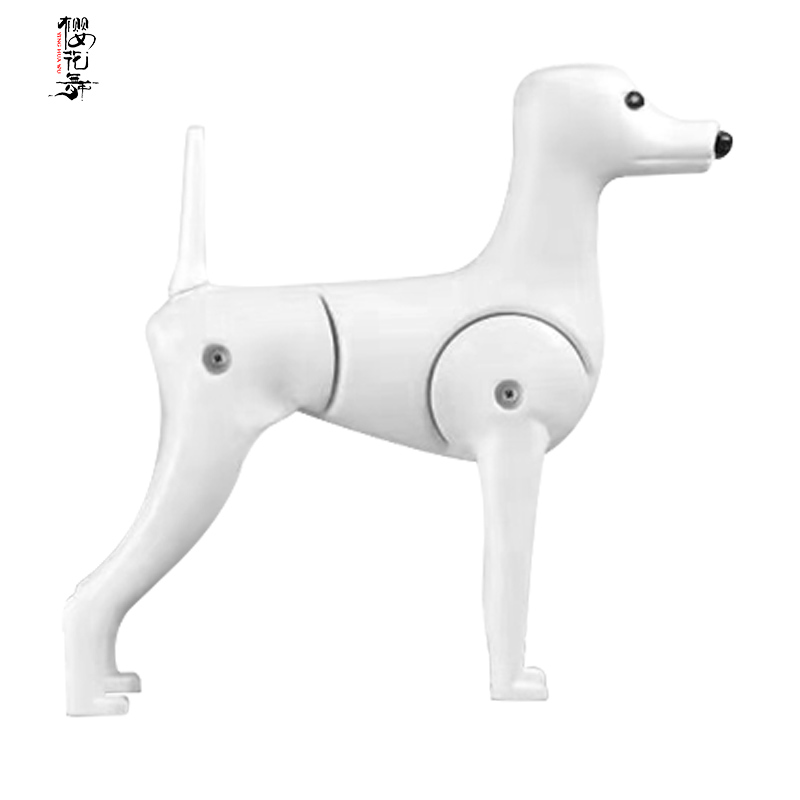 Модель головы собаки Bichon, модель собаки для тренировки, модель бишона, для домашних животных, для красоты, для обучения школе, скелет должен использоваться с искусственными волосами