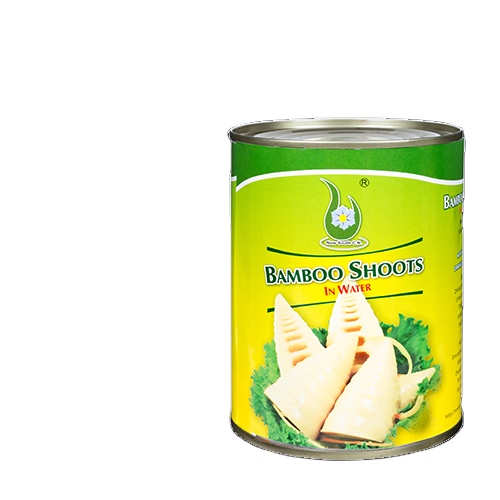 Wholesale High Quality Factory Manufacture Various Canned Sliced Bamboo Shoots