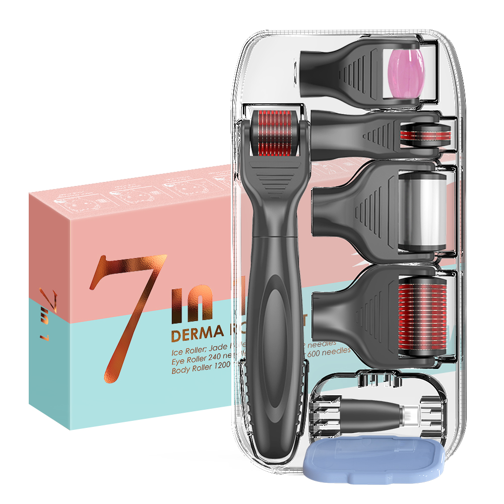 JAMI Beauty Supplier Derma Roller System 7 в 1 Kit массажный ролик для удаления акне и шрамов, Индивидуальная коробка и поставщик логотипа