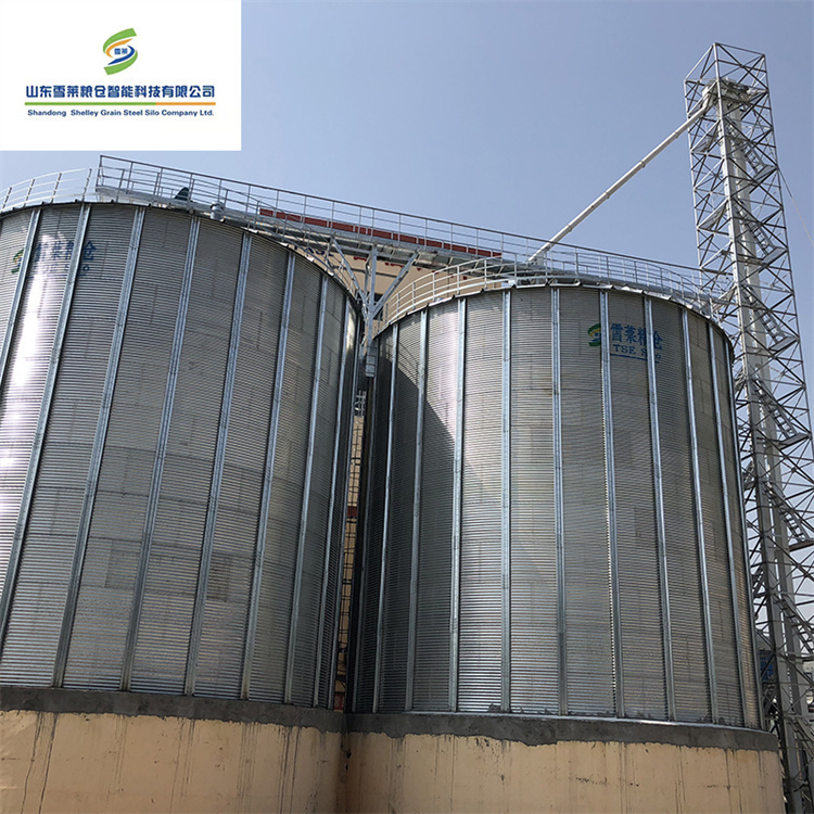 Customized Wall Sheet Flat Bottom Grain Silo for Soybean Farm