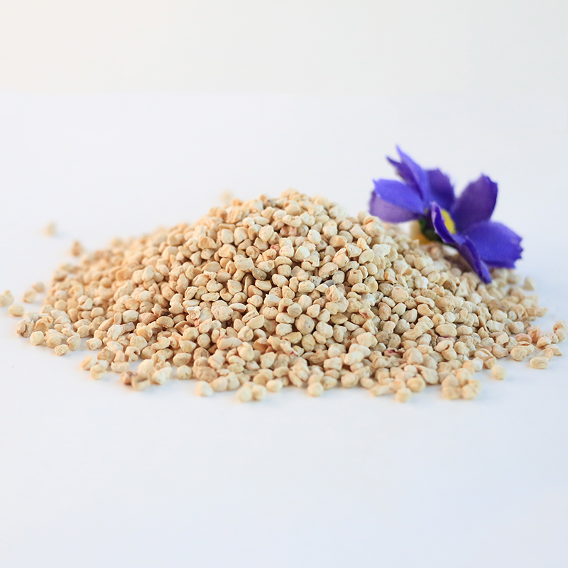 High Quality Fresh Corn cob for Mushroom for Sale