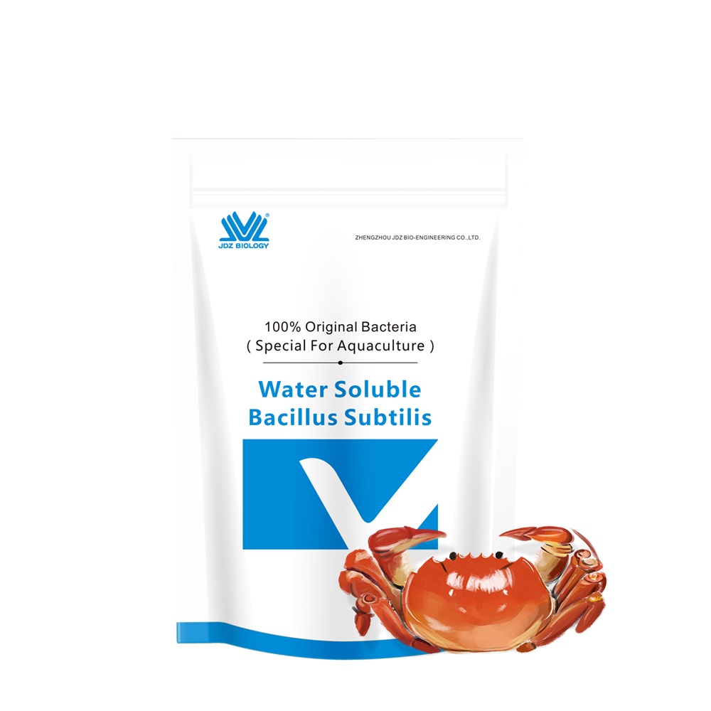 Direct Selling High-Performance Standard Parts Water Soluble Bacillus Subtilis Feed Grade Aquaculture Water Treatment