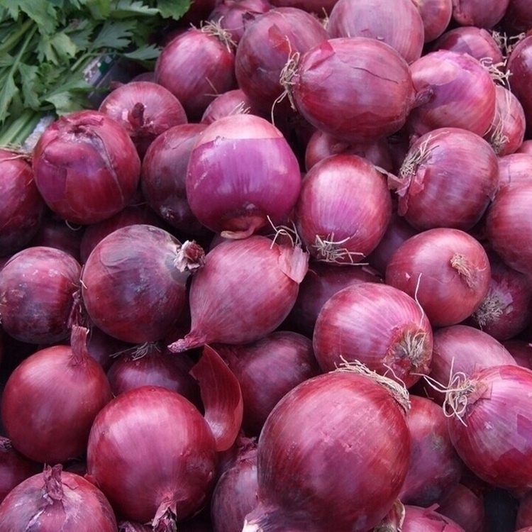 Новое поступление, хит продаж, свежий красный лук