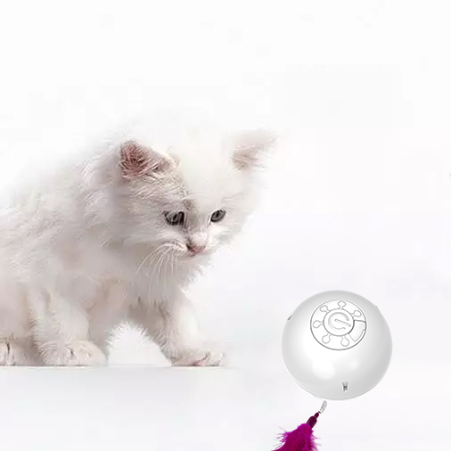 Новая Умная игрушка для домашних животных как для собаки, так и для кошки, автоматическая игра, игрушечный мяч для собак