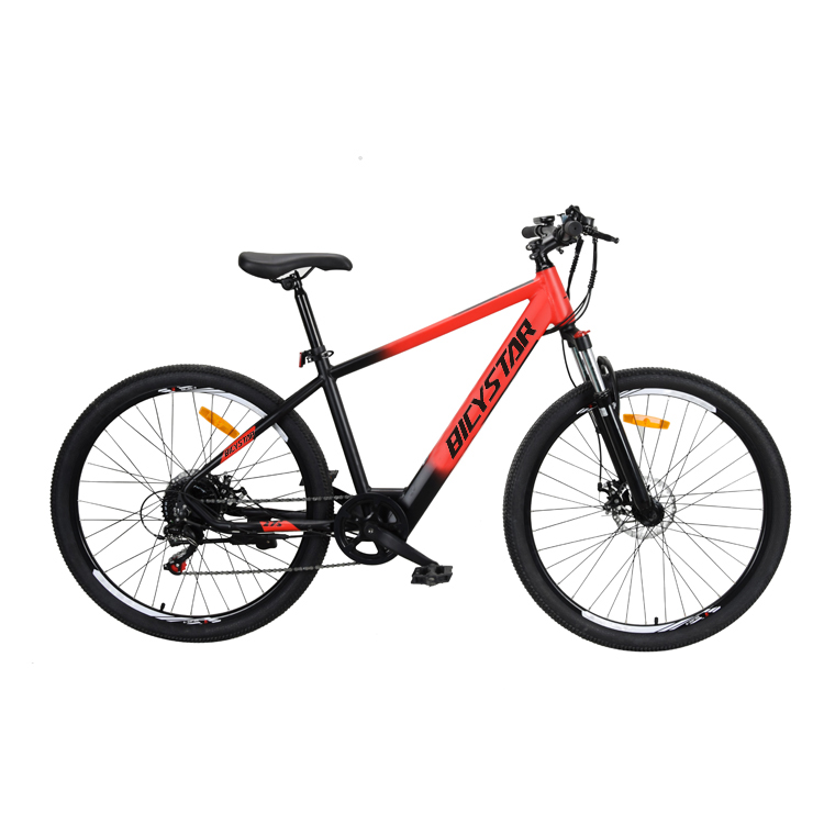 SJ2021 hot sale adult 1000 watts velo electrique /1000 w mid drive ebike / vintage Lithium bicicleta electrica electric bicycle