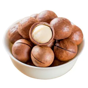 High Quality Macadamia Wholesale at competitive prices