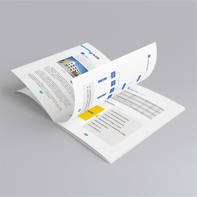 Cheap Price Custom Products Packaging Booklet Printed Glossy/Matte Lamination Instruction User Manual Printing