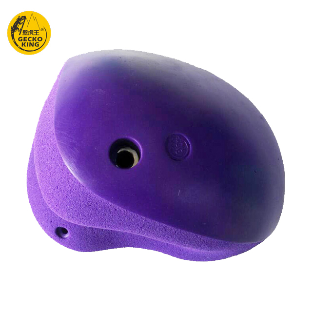 Gecko King Playground Wall Climbing Holds