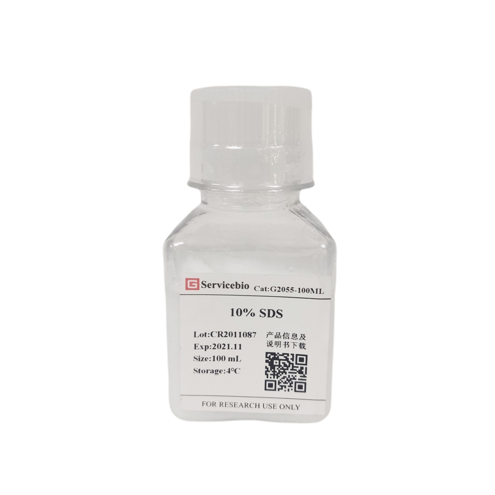 100ml 10% SDS Sodium Dodecyl Sulfate Solution
