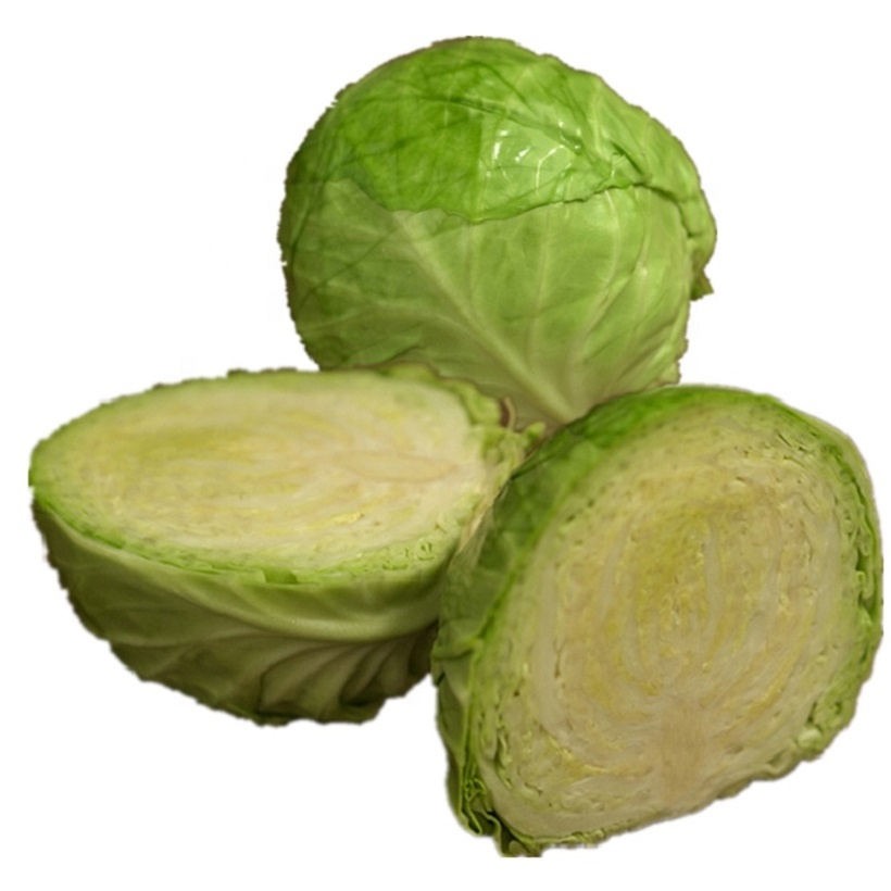 100% Natural Material Healthy New Crop Round Shape Chinese Fresh Cabbage