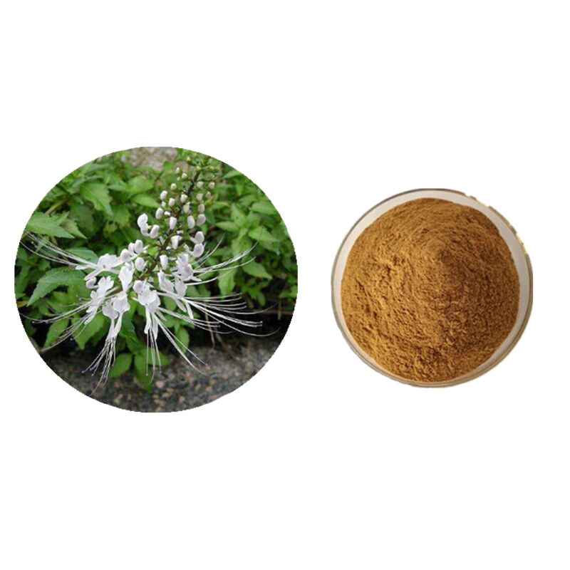 TLC 100% natural misai Kucing Herbal Tea Extract powder hot sale