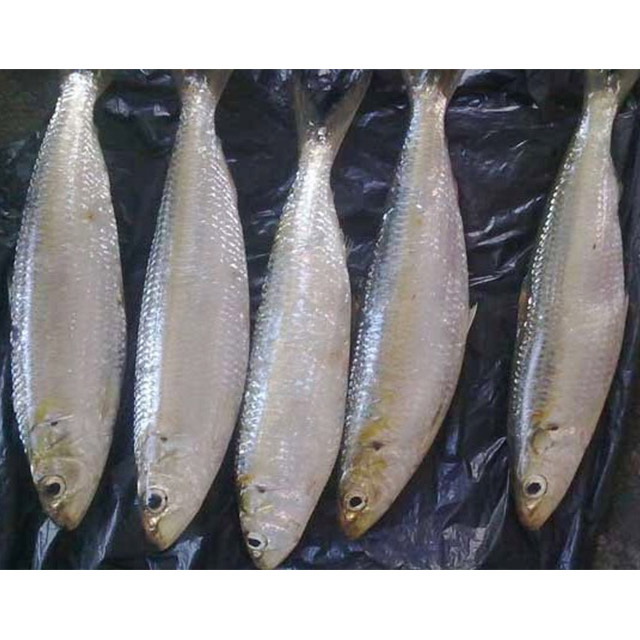 Из Вьетнама, японское качество, силиконовая смесь SURIMI 10 кг/блок x2/контейнер, замороженные продукты, горячая Распродажа в 2022 году