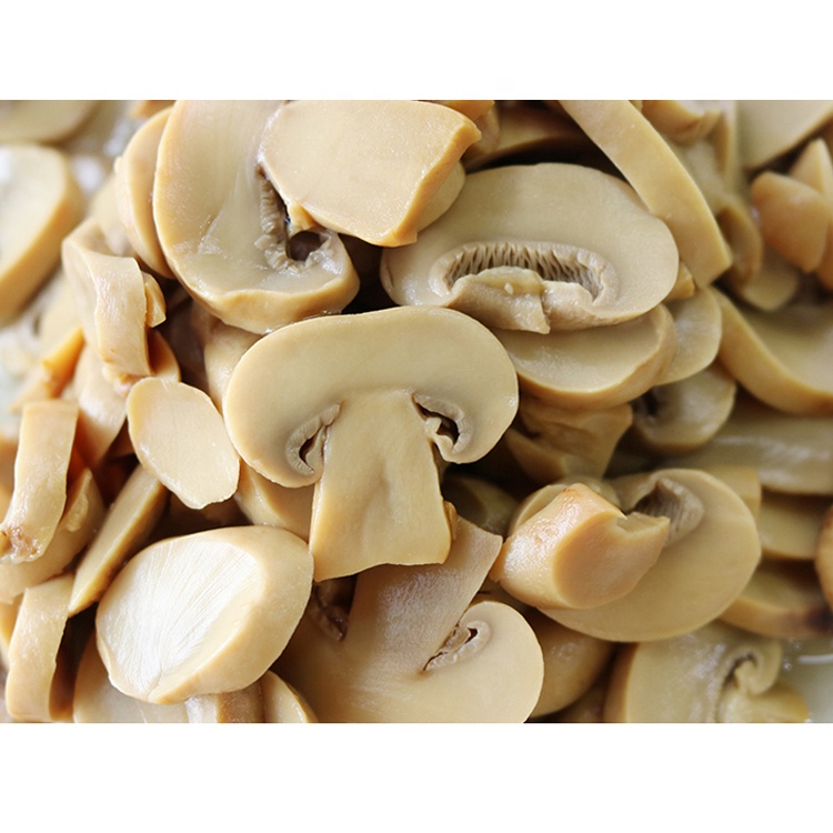 manufacture canned mushroom pns price
