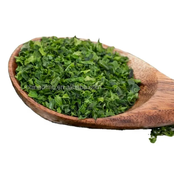Supply of fresh seaweed green organic health powder