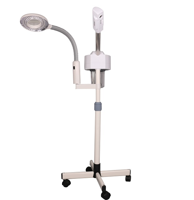 3 in 1 Hot Facial Steamer Cool Facial Steamer and LED Light Magnifying Lamp