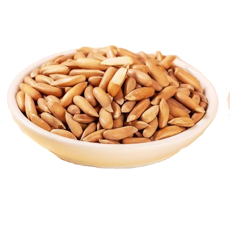Extra large grain Brazilian pine nuts Afghan wholesale special hand peeled new long grain original pine nut kernels