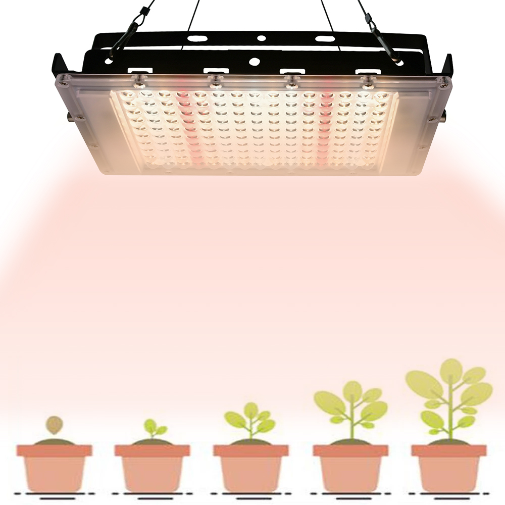 Greenhouse grow light 300W indoor plants LED grow light for vertical farming