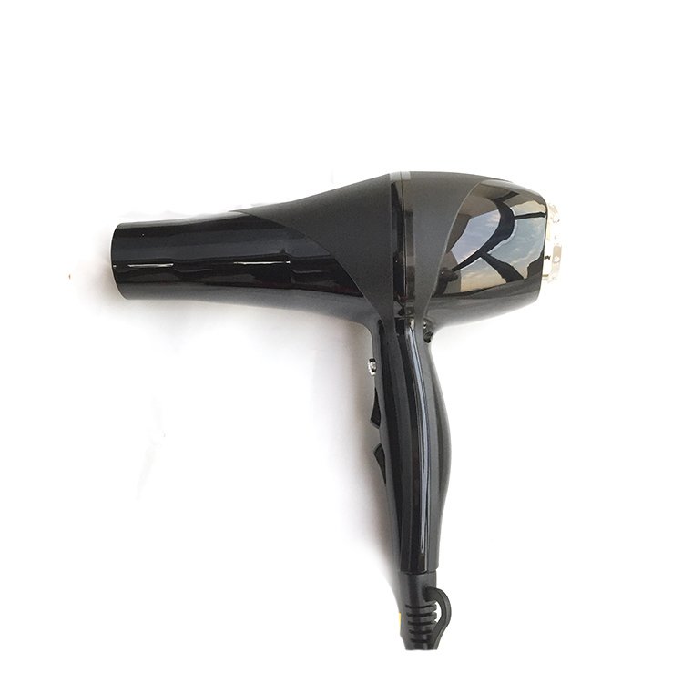 Hair Blow Dryer Indian Price Anion Generator With Coiled Cord Portable Dryers Professional Salon Beauty Equipment