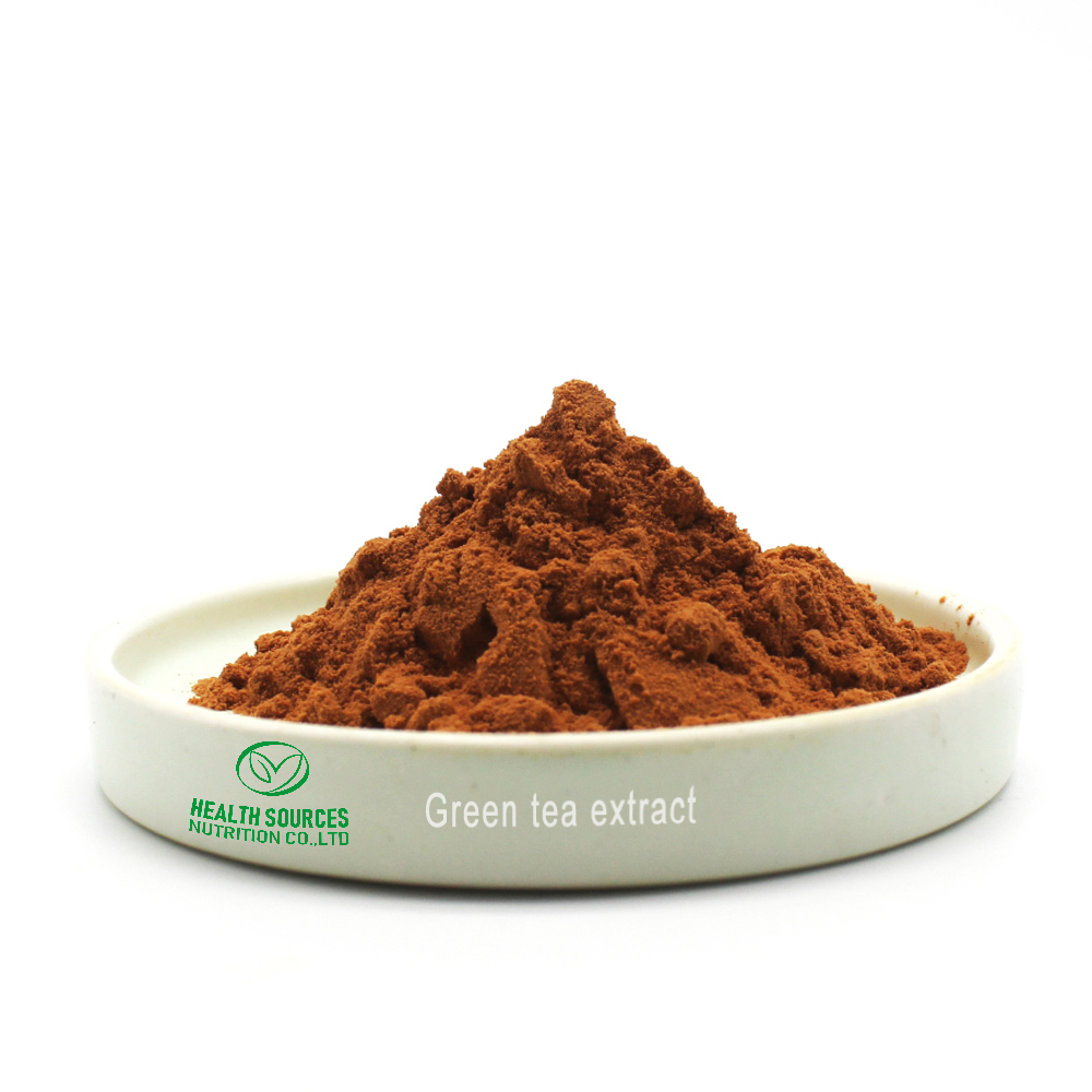 Green Tea Extract 98% Tea Polyphenols Top Grade