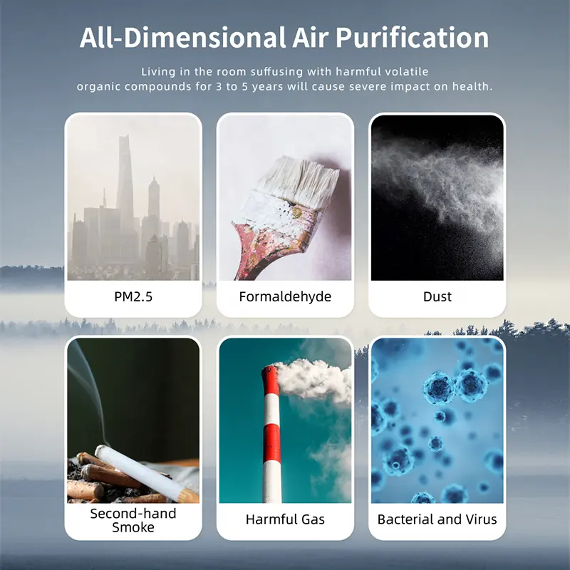 2021 New Technology Eliminate Pm2.5 Portable Air Purifier With Anion And Ultra-silence