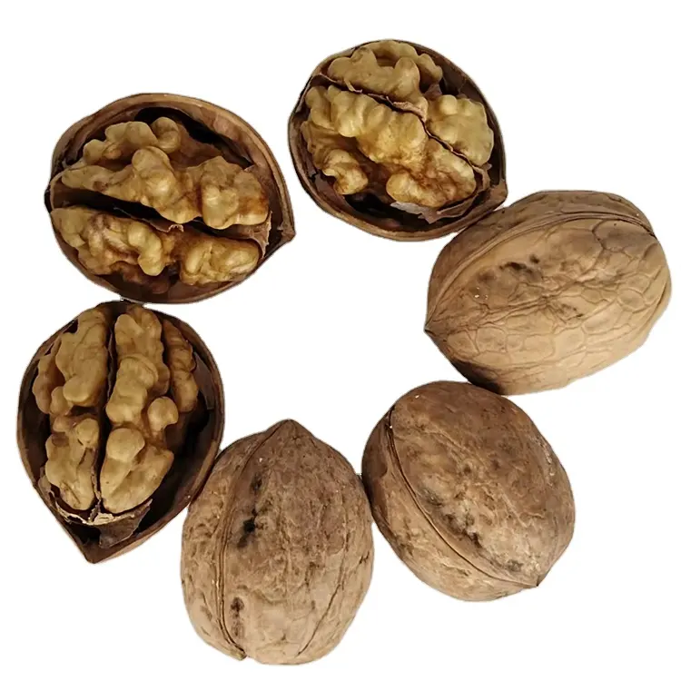 High Quality Walnut Kernel China walnut