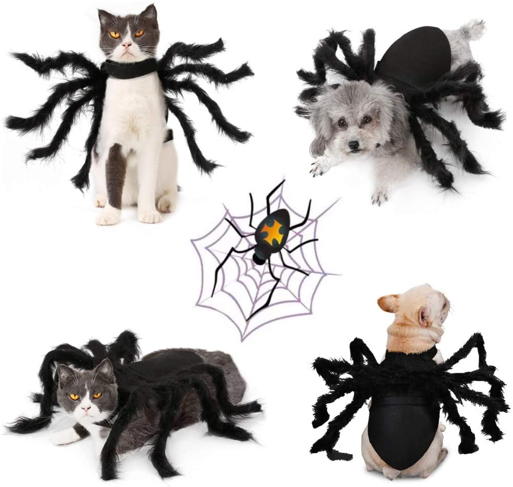 Pet Cat Dog Halloween Christmas Costume Dog Cloak Bat Wings 8 Spider Decoration Hair Accessories for Puppy