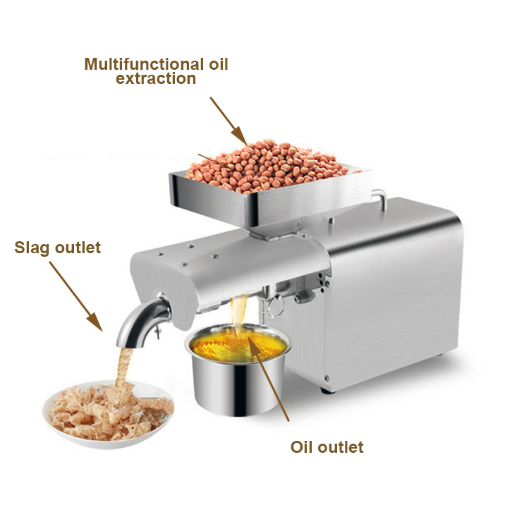 Jerrate 304 Stainless Steel Moringa Machine Small Home Use Oil Press