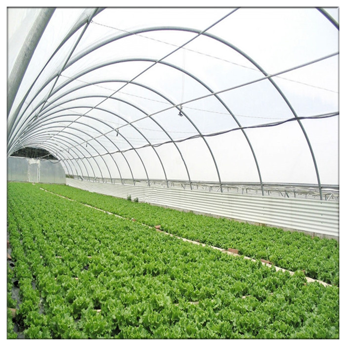 China Manufacture Greenhouse Competitive Vertical Vegetable Tunnel Film Greenhouse