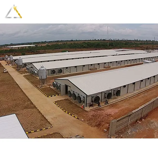Layer Poultry Preengineering Domestic Animal Cow Farm Breeding House Steel Structure Shed Building