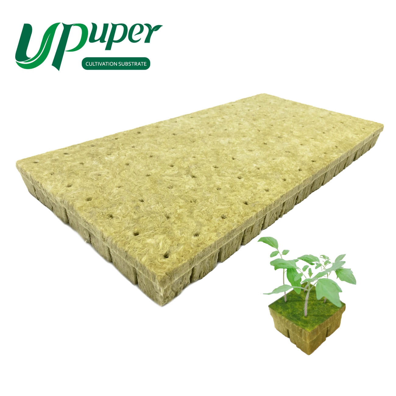 UPuper, растение, рассады, гидропонная промышленная среда, каменная вата, сеяльный блок для разрезания