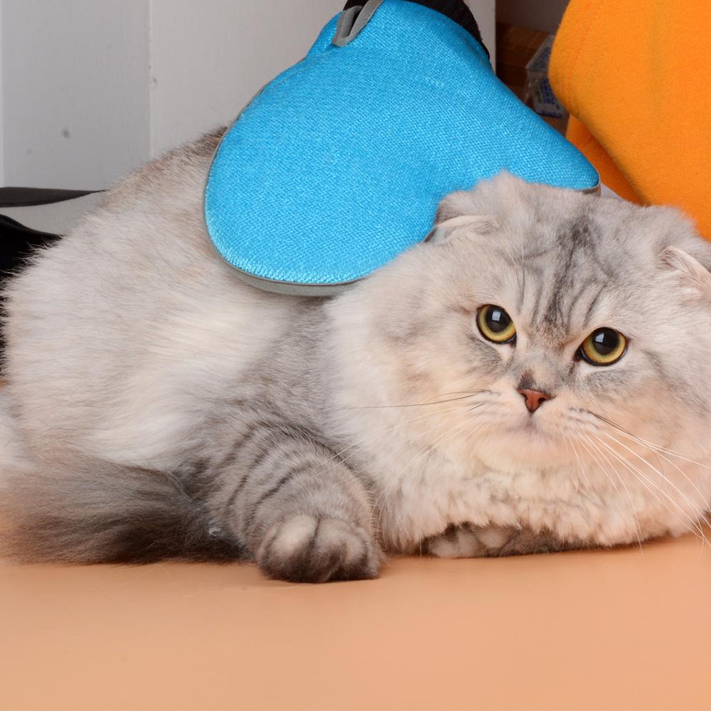 Отм заводская цена перчатка кисточки pet Стиральная Перчатки Уход за лошадьми mitt 2 в 1 pet Уход за лошадьми