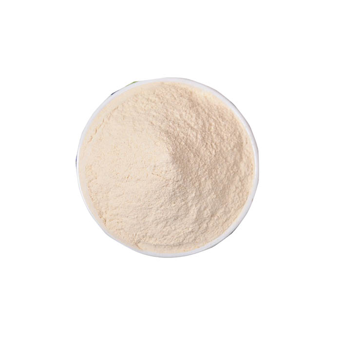 Free Sample Garlic Allicin/100% Pure Garlic Extract/Pure Natural Garlic Extract Allicin Powder
