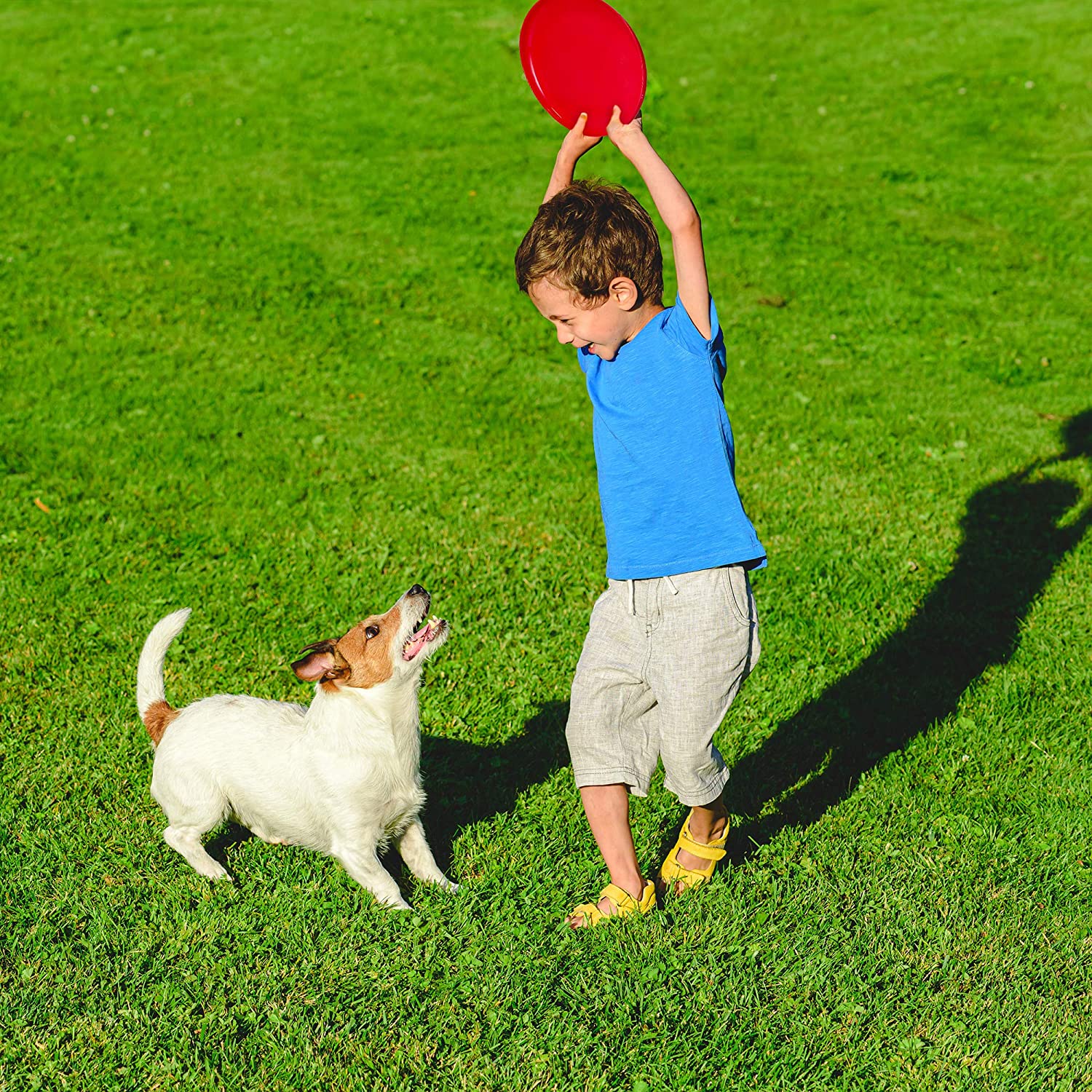 Fris bee Flying Discs Backyard Games & Sports Party Favors for Kids & Adults,dog - Assorted Colors