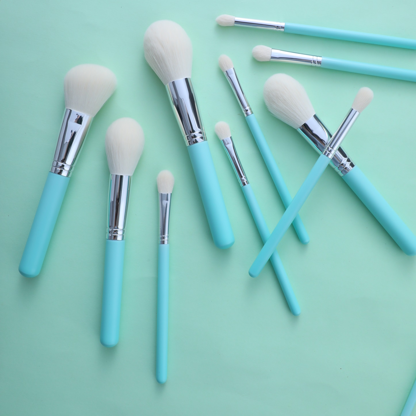 NEW12pcs Высокое качество профессиональный студийный свет синий подарок сумка красивая частная марка набор кистей для макияжа