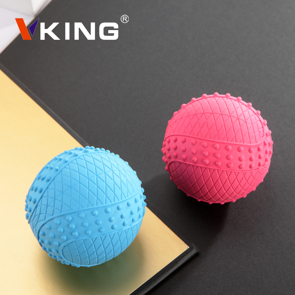 Vking Amazon Pets Bite Play interactive Training Squeaky dog toy