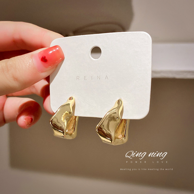 Jewelry 925 silver needle South Korea East Gate fashion new personality irregular Earrings earring net red temperament Design