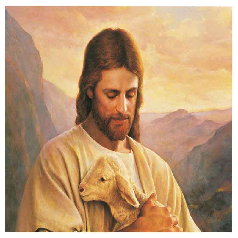 Dropshipping Jesus Paint by Numbers For Adults Beginner The Son Of God Jesus Embrace Small Shepherd On Canvas for Christian Gift