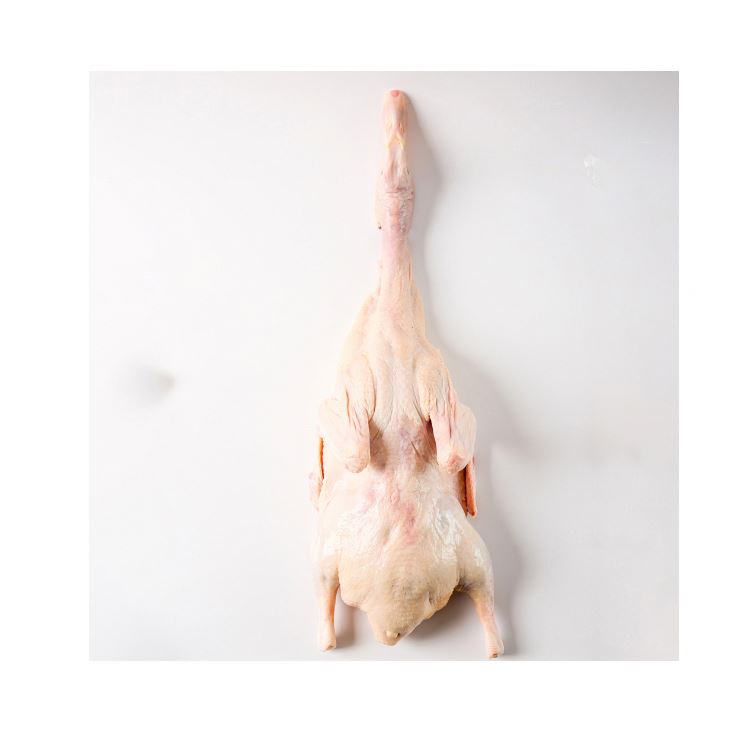 100% натуральная и безопасная свежая утка мясо белая полосатая утка