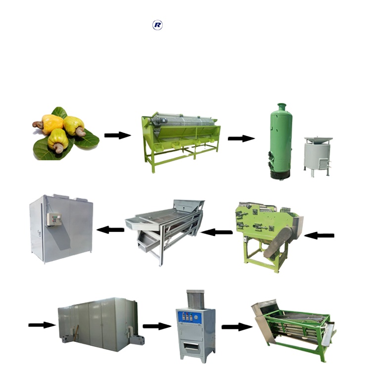 cashew nut peeler machines cashew nut plant cashew nut steaming machine