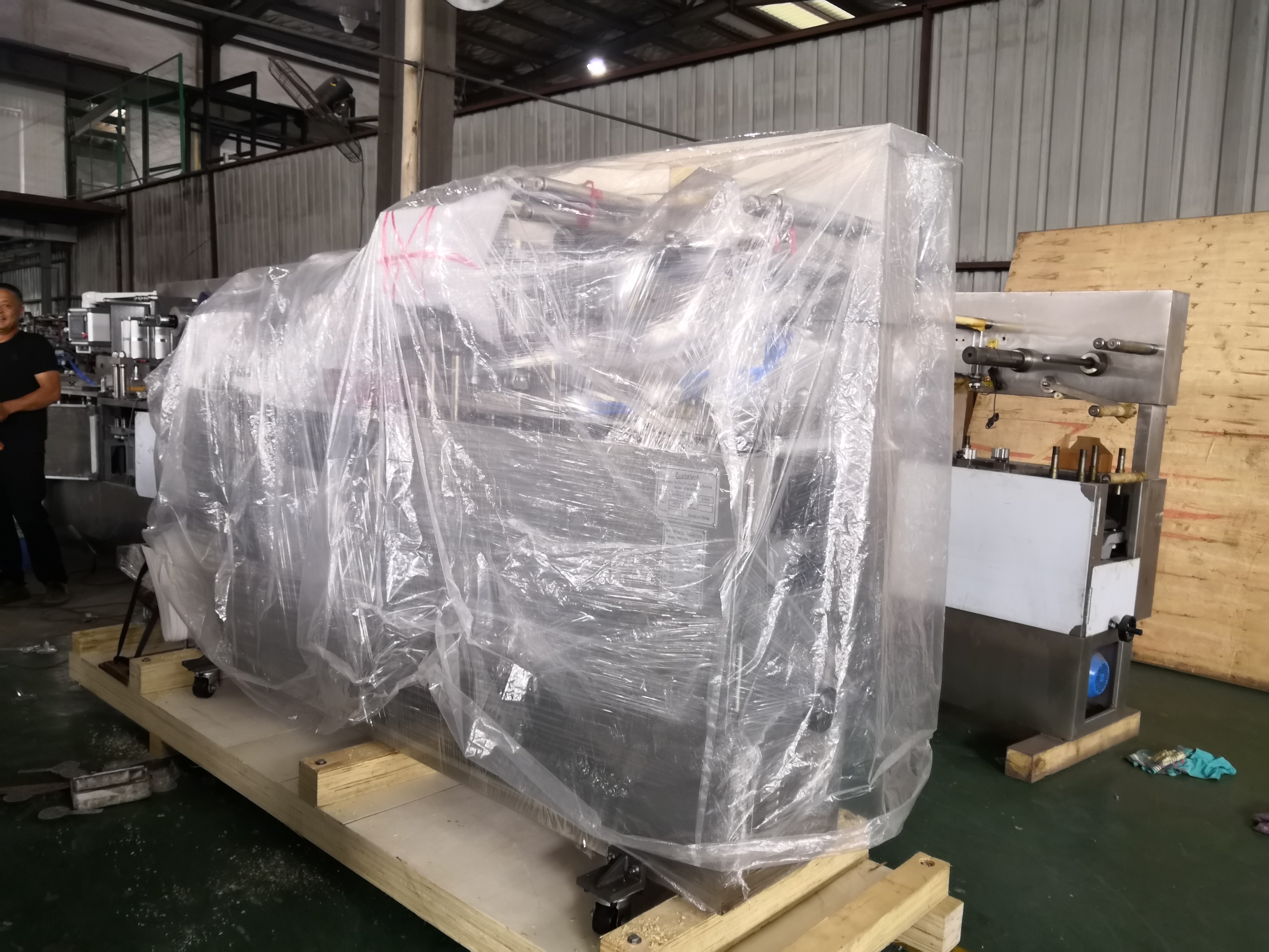 Automatic pharmaceutical capsule tablet Red Worms blister packing machine manufacturer