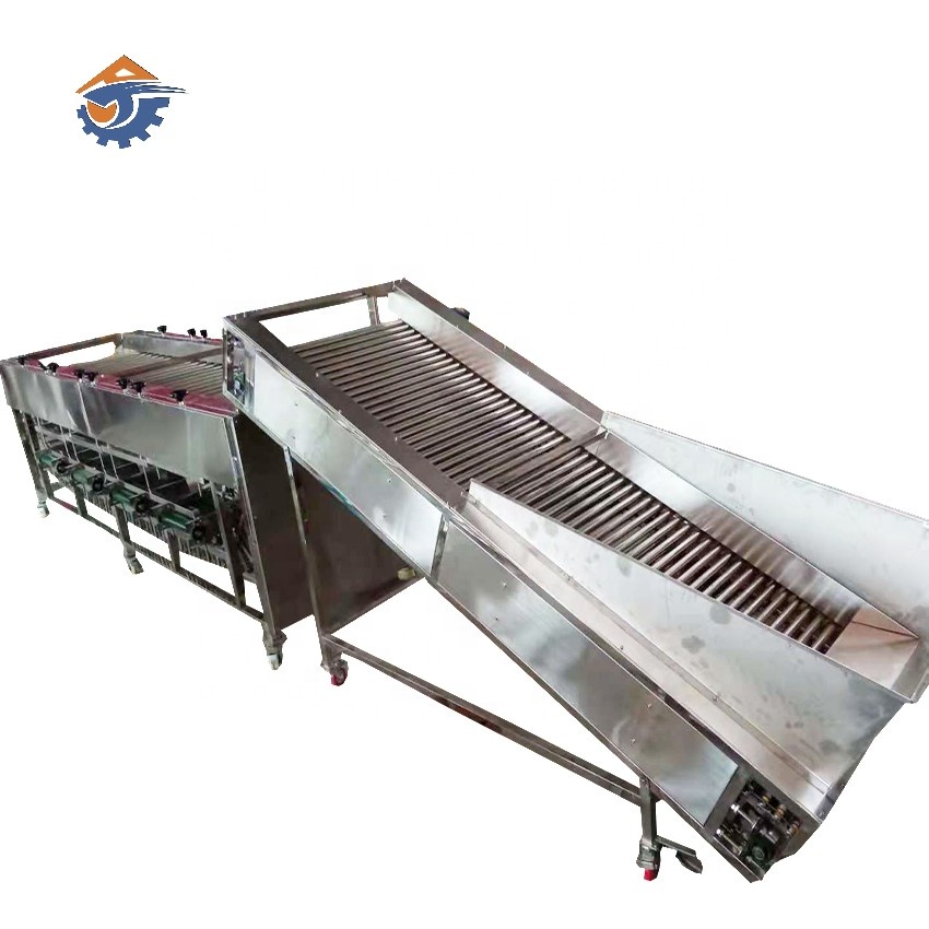 Apple orange lemon sorting and grading machine fruit sorting machine